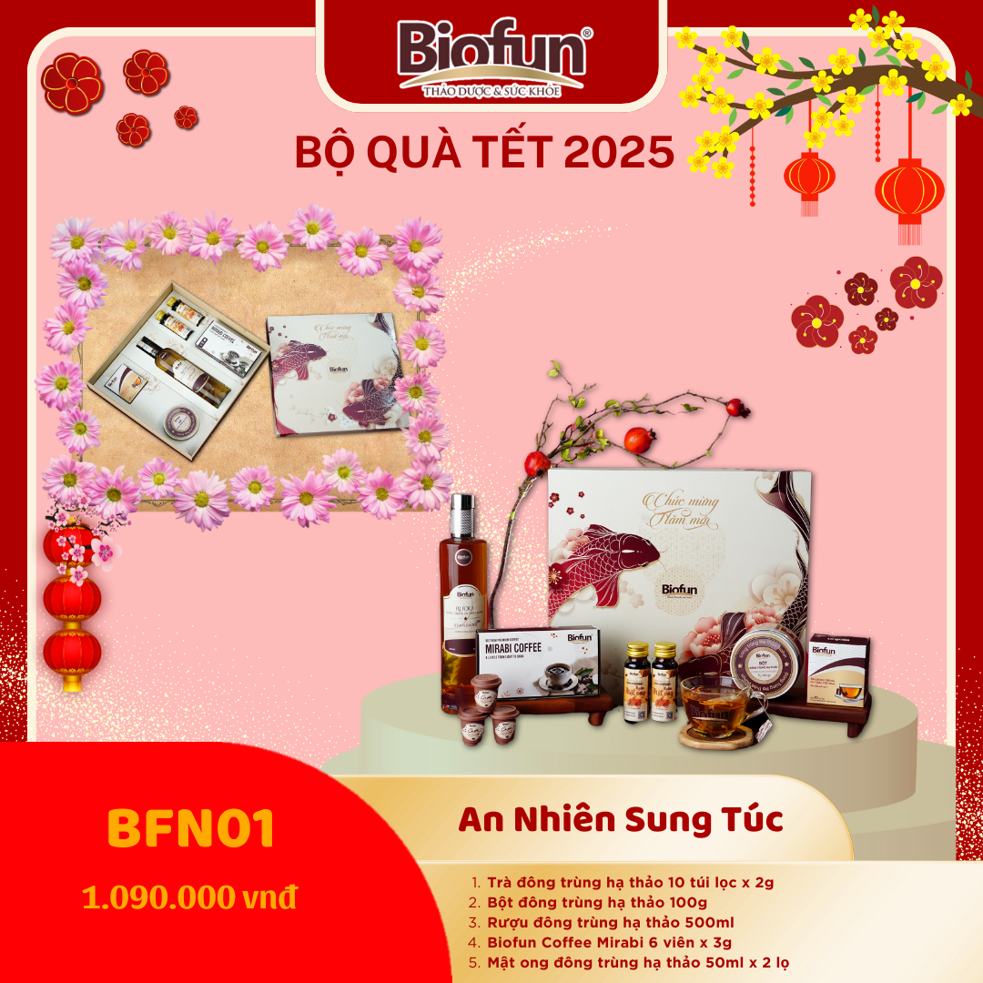 Bộ Quà Tặng Tết 2025 - An Nhiên Sung Túc BFN01